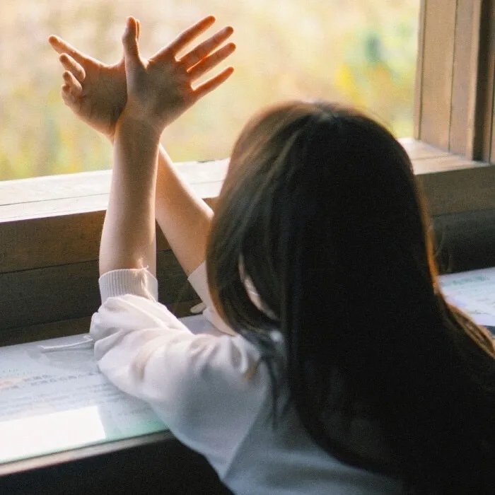 又见面了楼小姐